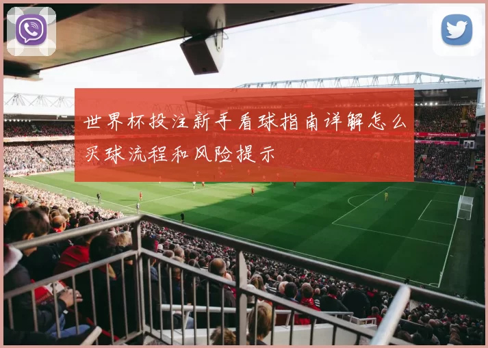 世界杯投注新手看球指南详解怎么买球流程和风险提示