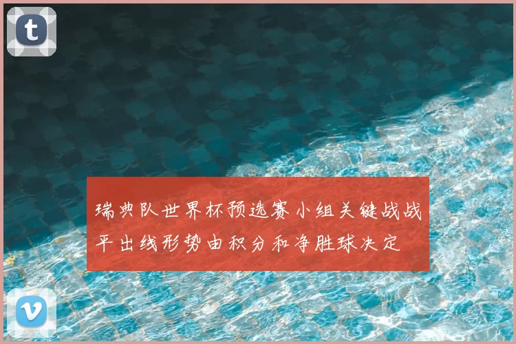 瑞典队世界杯预选赛小组关键战战平出线形势由积分和净胜球决定